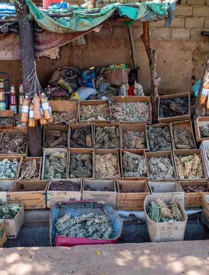 Développement du Marché Communal