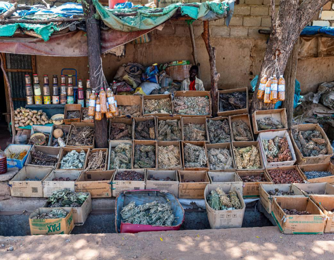 Développement du Marché Communal